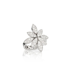 Anillo Ghirlanda oro blanco diamantes Pasquale Bruni