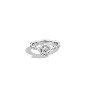 Anillo Oro Blanco Halo Diamantes Recarlo